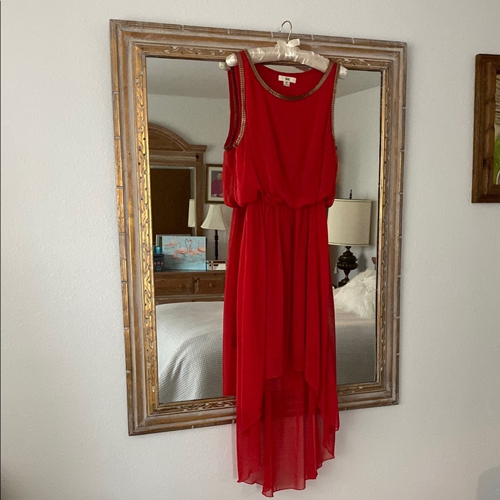 ISSI Red Asymmetrical Pleated Sundress